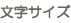 文字サイズ