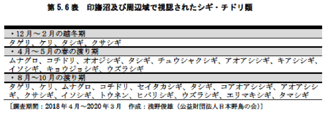 第5.6表　印旛沼及び周辺域で視認されるシギ・チドリ類