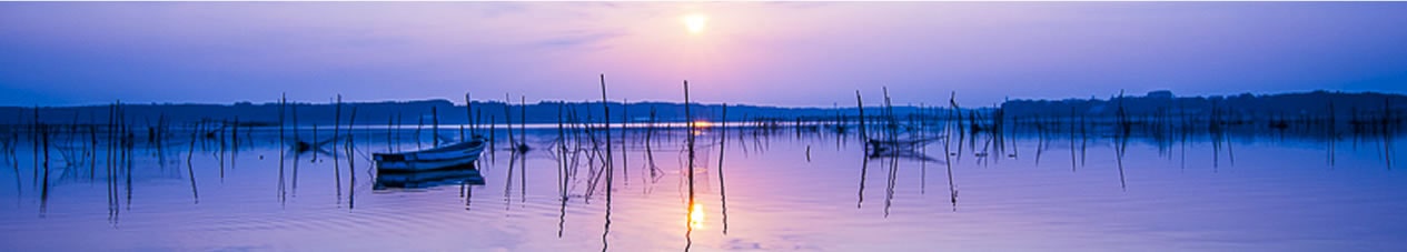水辺の風景画コンクール 公益財団法人 印旛沼環境基金